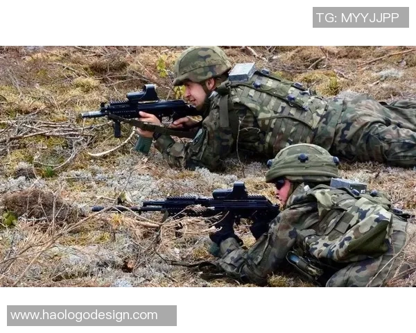 杭州攀岩队的战术演变与转换体系解析探讨